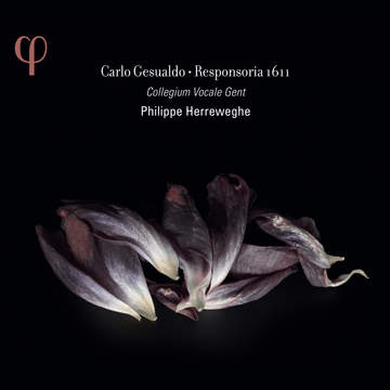 クラシック (CD)Officium Defunctorum / Versa Est in Luctum 51ul+04eFLL._UF350,350_QL50_.jpg