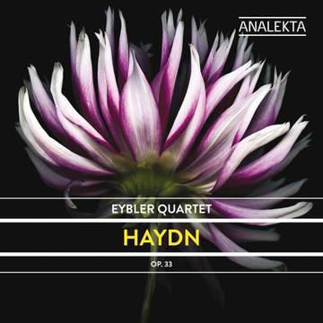 14枚組 THE SYMPHONIES OF HAYDN Classical Candor: Michael Haydn: Symphonies 14, 17, 19, 24