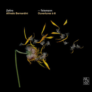 Telemann: Viola di Gamba