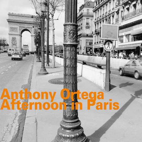 Afternoon in Paris