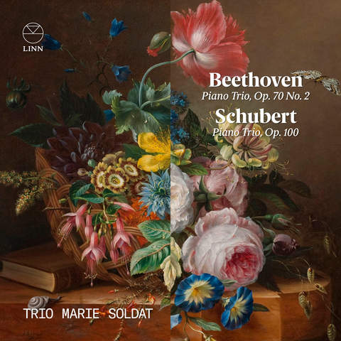 クラシック CD Ireland, Hope, Mccabe; Lloyd W Ireland: Piano Trio 2/Sonatas  GLO4009  /00110 Schubert: Piano Trios D. 929 and 897 Trio Vitruvi BRIDGE