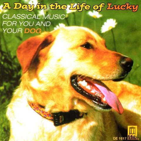 Classical Music for You And Your Dog A Day in the Life of Lucky