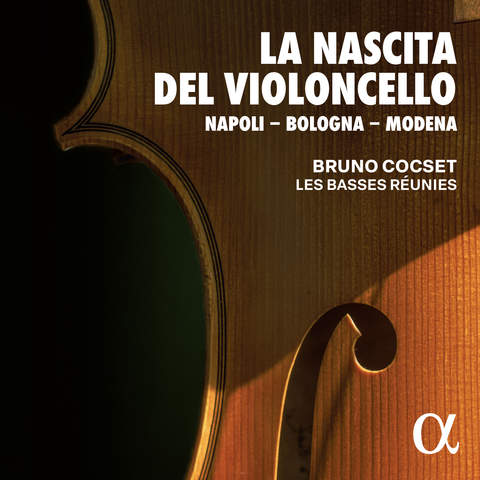 Shop - Bruno Cocset