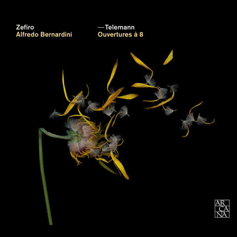 クラシック TELEMANN MASTERWORKS Telemann: Ouvertures à 8